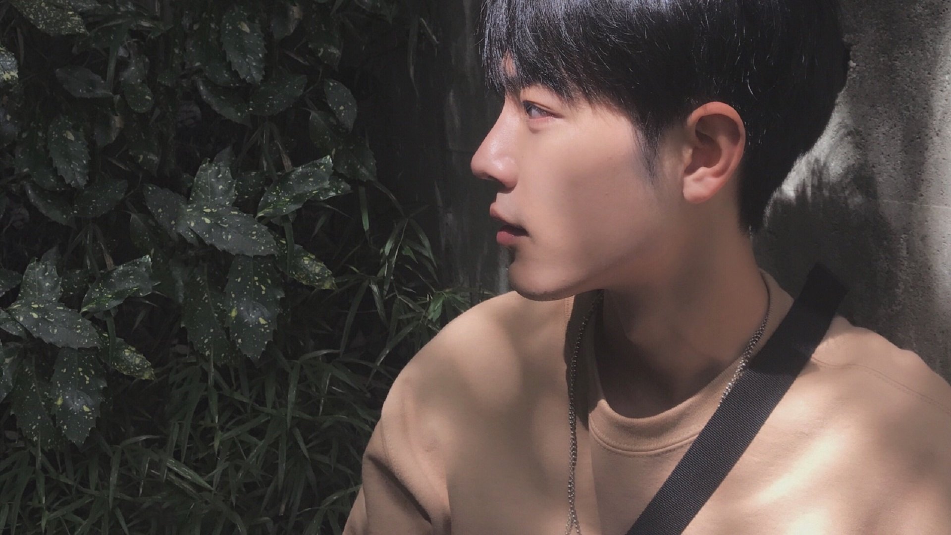 李娜回归表演赛状态依旧在线，李娜从回歌坛