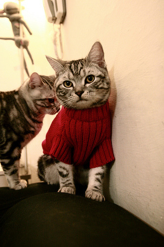 法甲联赛的电子竞技结合新尝试，法甲赛制